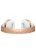 Наушники Bluetooth Beats Beats Solo3 Wireless On-Ear Gold (MNER2ZE/A)